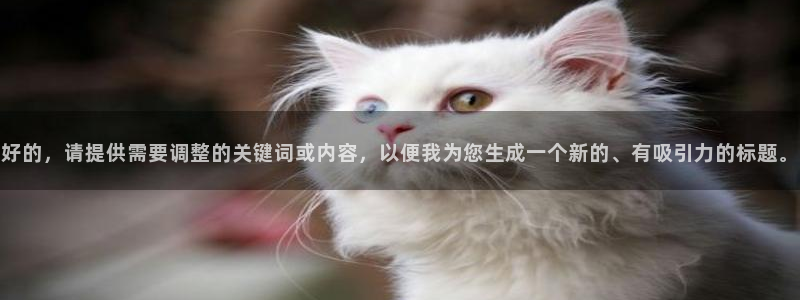 极悦平台体育娱乐注册链接：好的，请提供需要调整的关键词或内容，以便我为您生成一个