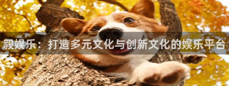 极悦平台平台开户链接：毅娱乐：打造多元文化与创新文化的娱乐平台