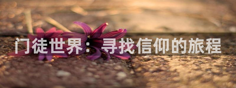 极悦平台体育4：门徒世界：寻找信仰的旅程