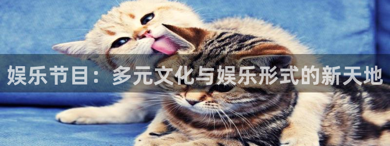 极悦平台3平台注册：娱乐节目：多元文化与娱乐形式的新天地
