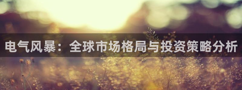 极悦平台app：电气风暴：全球市场格局与投资策略分析