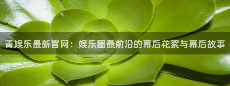 极悦平台ccm麻将胡了：青娱乐最新官网：娱乐圈最前沿的幕后花絮与幕后故事