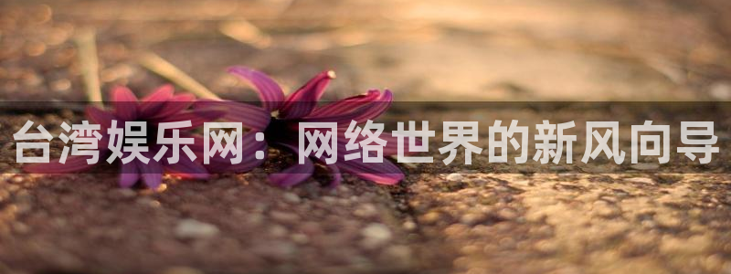 极悦平台零能源集团