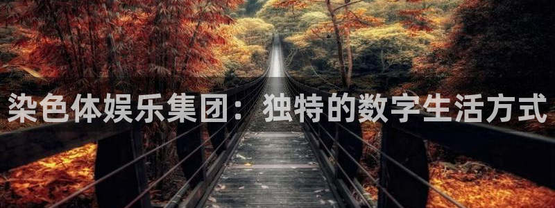 下载极悦平台：染色体娱乐集团：独特的数字生活方式