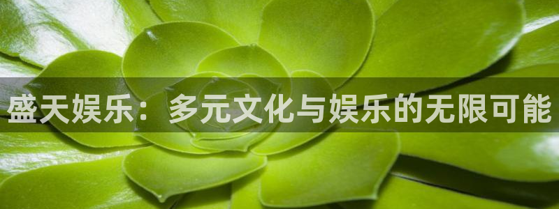 极悦平台3