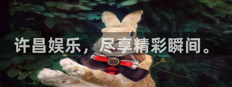 极悦平台平台官网入口下载：许昌娱乐，尽享精彩瞬间。