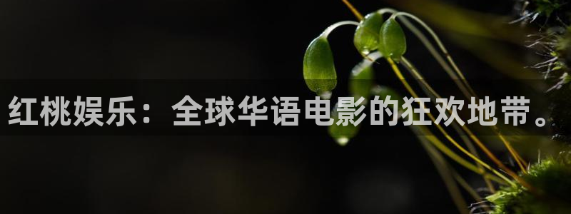 极悦平台f凯捷注册：红桃娱乐：全球华语电影的狂欢地带。