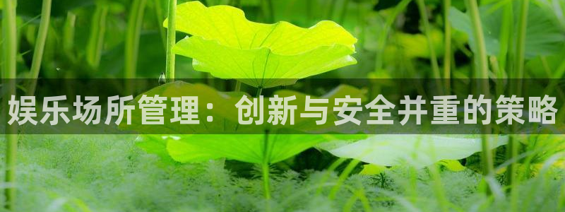 极悦平台娱乐：娱乐场所管理：创新与安全并重的策略