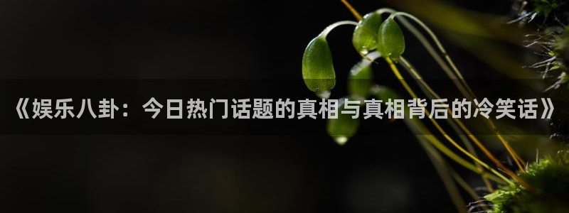 极悦平台体育凯捷平台主管：《娱乐八卦：今日热门话题的真相与真相背后的冷笑话》
