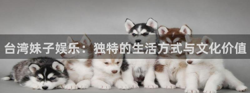 极悦平台4开户：台湾妹子娱乐：独特的生活方式与文化价值