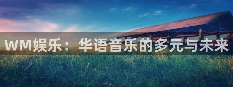 极悦平台电子娱乐官网下载：WM娱乐：华语音乐的多元与未来
