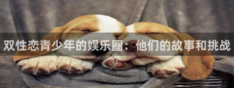 极悦平台零能源集团：双性恋青少年的娱乐圈：他们的故事和挑战