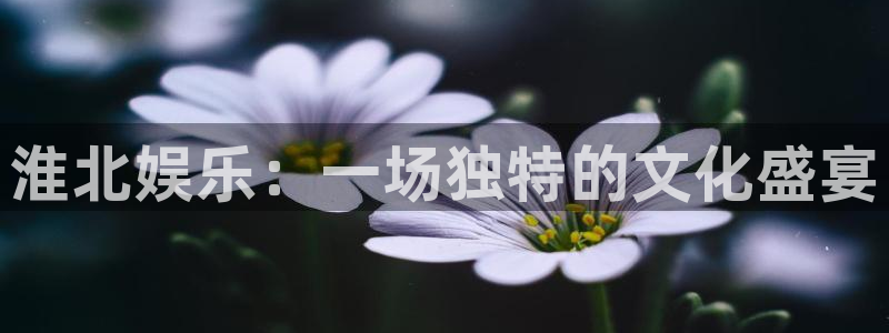 极悦平台体育官网登录：淮北娱乐：一场独特的文化盛宴