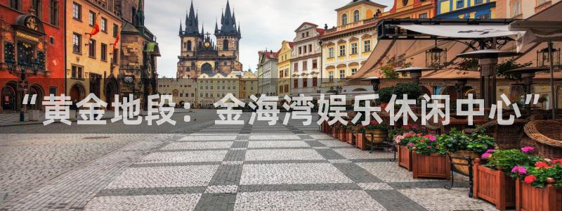 福建极悦平台机电股份公司