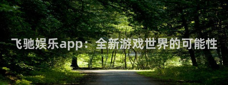 极悦平台平台：飞驰娱乐app：全新游戏世界的可能性