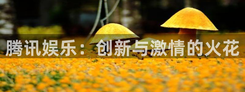 极悦平台体育4：腾讯娱乐：创新与激情的火花