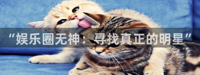 极悦平台.ccmpc登录：“娱乐圈无神：寻找真正的明星”