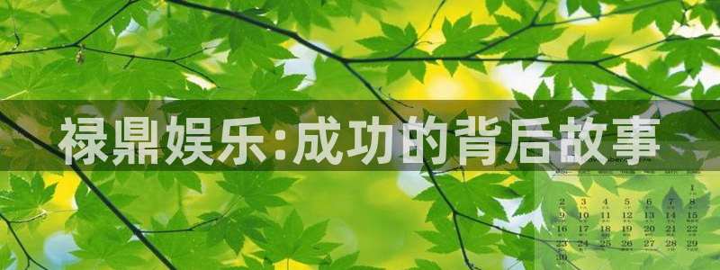 极悦平台pg电子游戏在线玩：禄鼎娱乐:成功的背后故事
