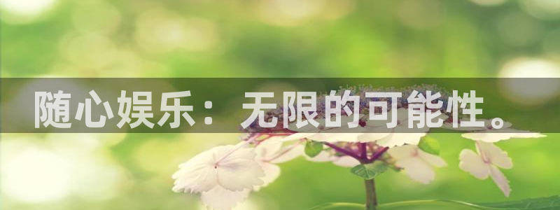 极悦平台网站：随心娱乐：无限的可能性。