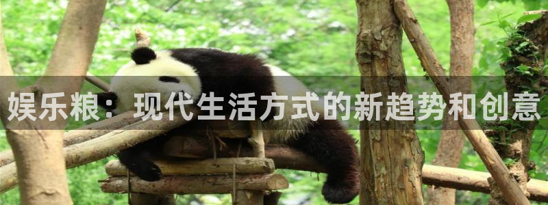 极悦平台4平台：娱乐粮：现代生活方式的新趋势和创意