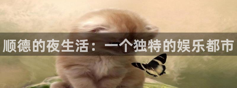 极悦平台代理：顺德的夜生活：一个独特的娱乐都市