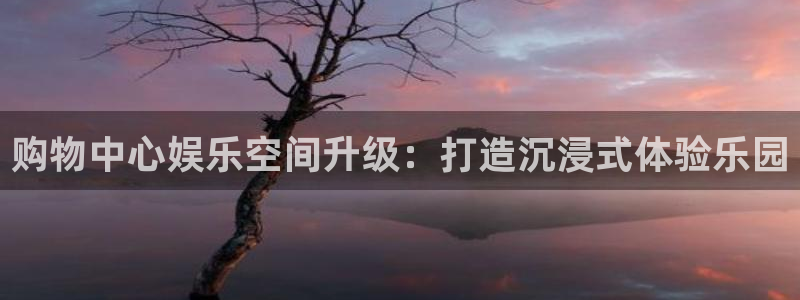 极悦平台加拿大下载：购物中心娱乐空间升级：打造沉浸式体验乐园