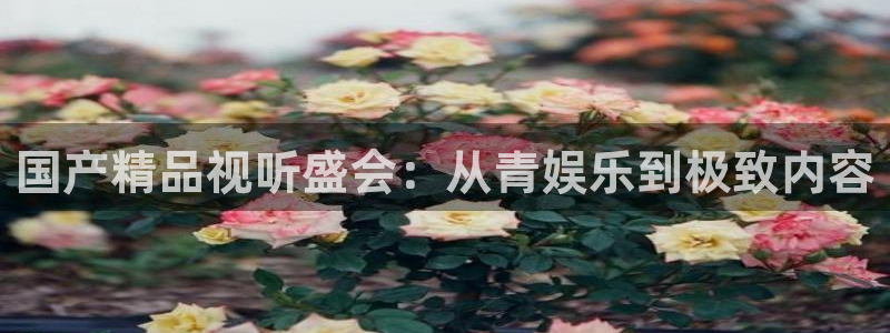极悦平台体育3在线注册：国产精品视听盛会：从青娱乐到极致内容
