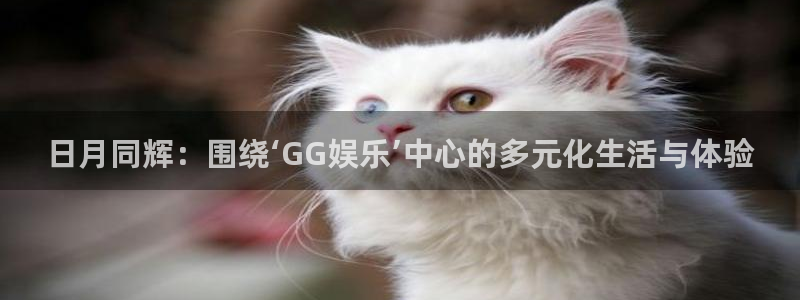 南宫极悦平台官网下载链接：日月同辉：围绕‘GG娱乐’中心的多元化生活与体验