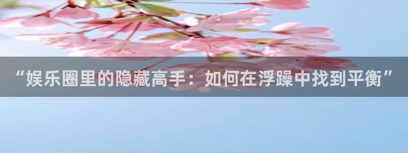 极悦平台2官网