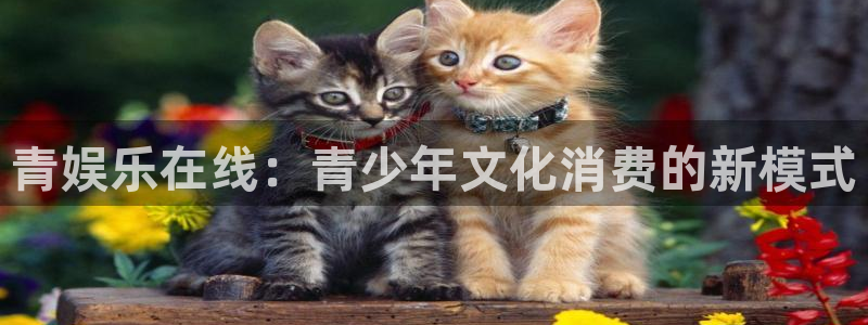 极悦平台登录注册：青娱乐在线：青少年文化消费的新模式