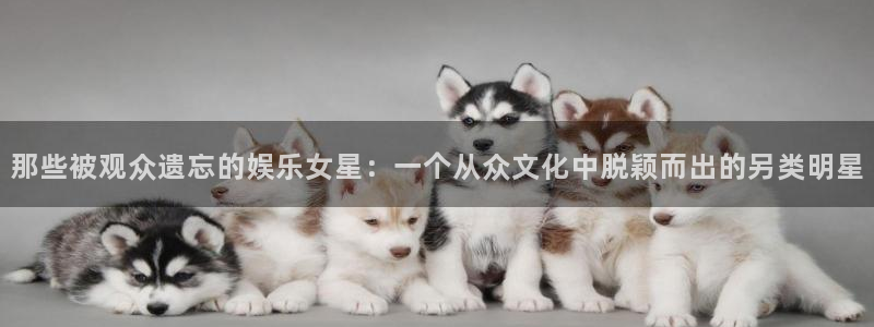 极悦平台是什么平台：那些被观众遗忘的娱乐女星：一个从众文化中脱颖而出的另类明星