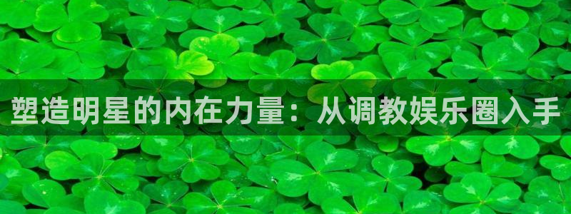 极悦平台ccm麻将胡了：塑造明星的内在力量：从调教娱乐圈入手