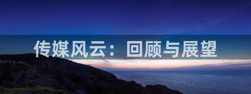 上海极悦平台汽车电子有限公司：传媒风云：回顾与展望