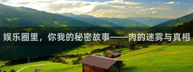 极悦平台app 是什么：娱乐圈里，你我的秘密故事——肉的迷雾与真相