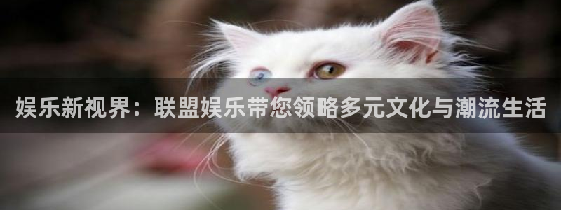 极悦平台体育4：娱乐新视界：联盟娱乐带您领略多元文化与潮流生活