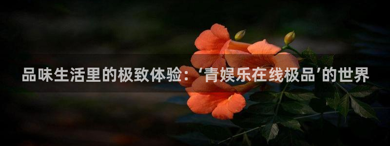极悦平台官网入口：品味生活里的极致体验：‘青娱乐在线极品’的世界