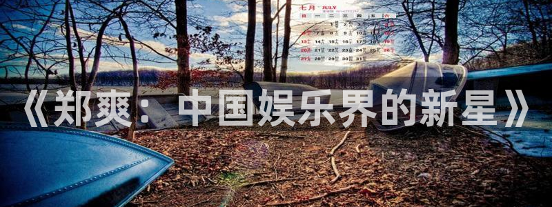 极悦平台下载：《郑爽：中国娱乐界的新星》
